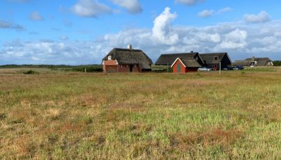 Kroer nær blåvand